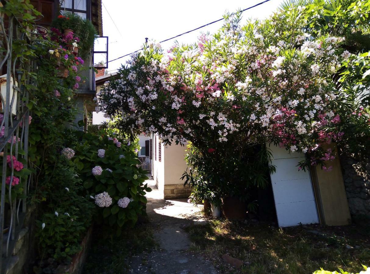 Apartments Placovici 볼로스코 외부 사진